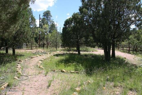 2130 Bluejay Rd, Overgaard, AZ 85933 photo 28