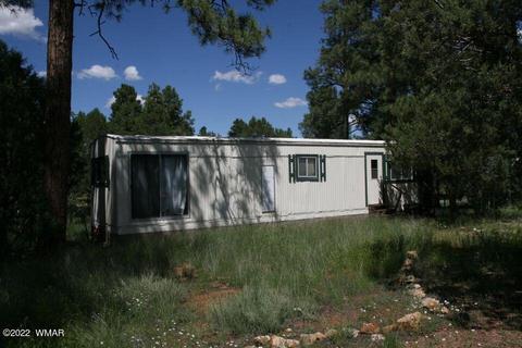 2130 Bluejay Rd, Overgaard, AZ 85933 photo 5