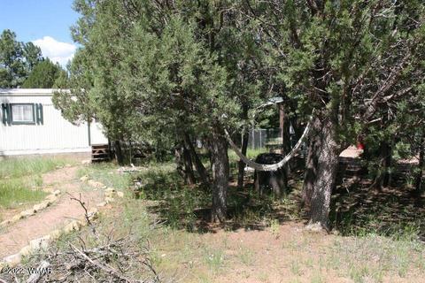 2130 Bluejay Rd, Overgaard, AZ 85933 photo 31