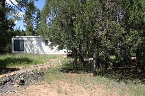 2130 Bluejay Rd, Overgaard, AZ 85933 photo 30