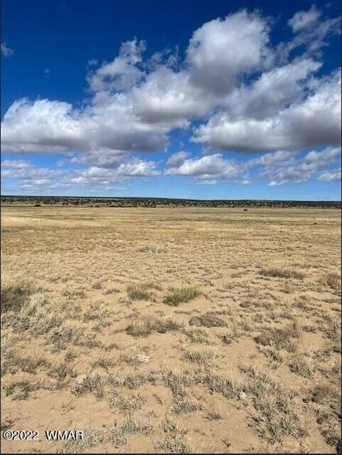 lot764 Woodland Valley Rnch, Saint Johns, AZ 85936