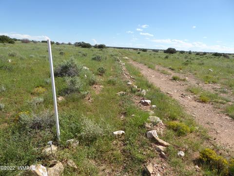 lot448 Chevelon Canyon Rnch #3, Heber, AZ 85928