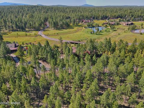 9582 Sierra Springs Way, Pinetop, AZ 85935