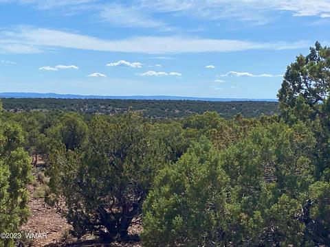 Tbd Rebel Yell 38.83 Acres, White Mountain Lake, AZ 85912