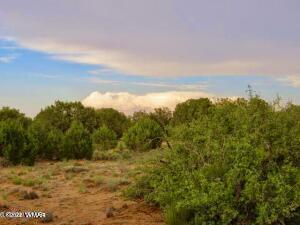 4055 Indian Bend Rd, Snowflake, AZ 85937 photo 1
