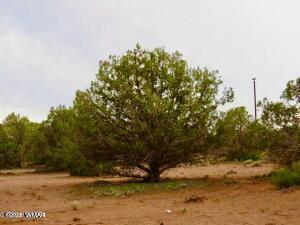 4055 Indian Bend Rd, Snowflake, AZ 85937 photo 9