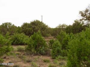 4055 Indian Bend Rd, Snowflake, AZ 85937 photo 5