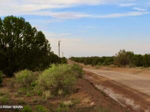 4055 Indian Bend Rd, Snowflake, AZ 85937 photo 2