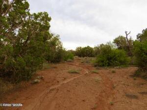 4055 Indian Bend Rd, Snowflake, AZ 85937 photo 6
