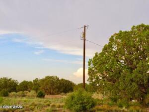 4055 Indian Bend Rd, Snowflake, AZ 85937 photo 3
