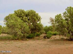 4055 Indian Bend Rd, Snowflake, AZ 85937 photo 10