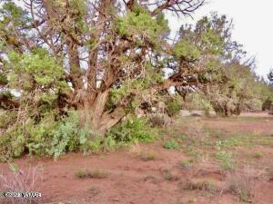 4024 E Pinto Rd, Snowflake, AZ 85937 photo 6
