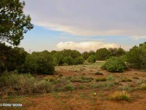 4024 E Pinto Rd, Snowflake, AZ 85937 photo 1