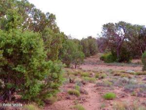 4024 E Pinto Rd, Snowflake, AZ 85937 photo 3