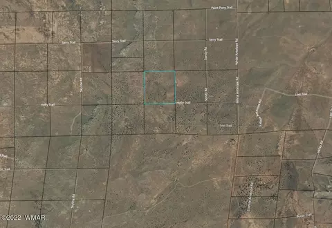 8444 Holly Trl, Snowflake, AZ 85937