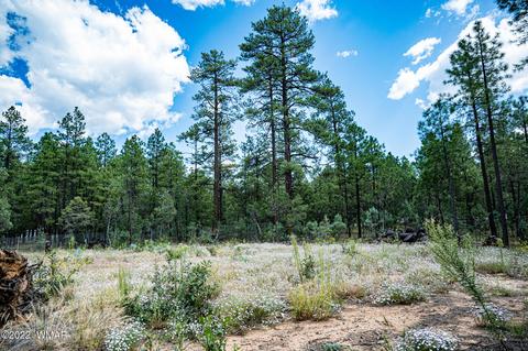 1071 Stewart Dr, Lakeside, AZ 85929