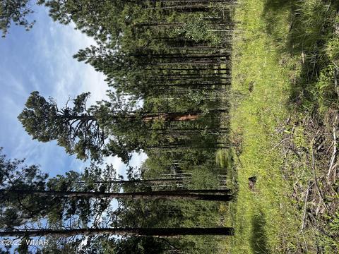 4 N1063, Greer, AZ 85927