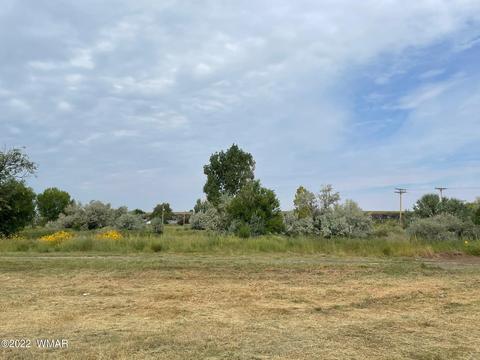 374 N Old Gristmill Rd, Eagar, AZ 85925 photo 27