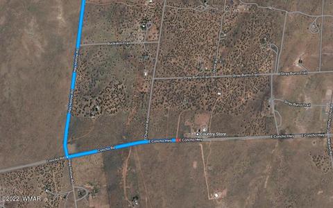 9280 Lost Trl, Snowflake, AZ 85937 photo 5