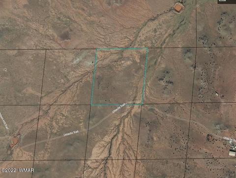 9137 Lost Trl, Snowflake, AZ 85937 photo 2