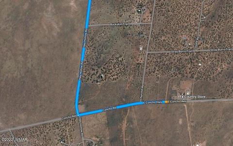 9137 Lost Trl, Snowflake, AZ 85937 photo 4