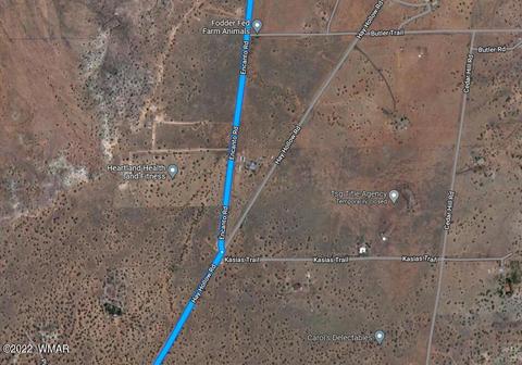 9137 Lost Trl, Snowflake, AZ 85937 photo 5
