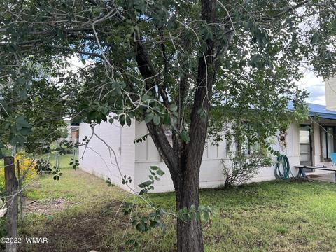 167 W 4th Ave, Eagar, AZ 85925 photo 4