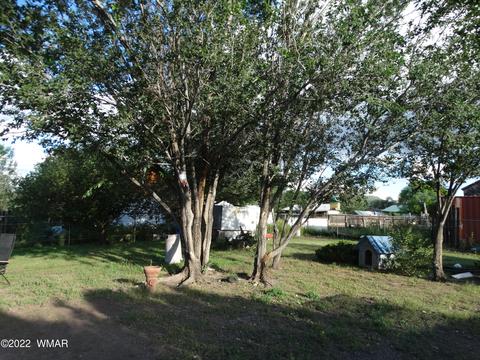 167 W 4th Ave, Eagar, AZ 85925 photo 8