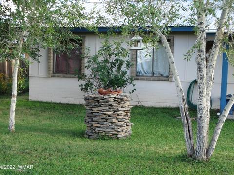 167 W 4th Ave, Eagar, AZ 85925 photo 6