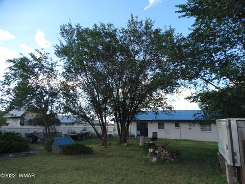 167 W 4th Ave, Eagar, AZ 85925 photo 9