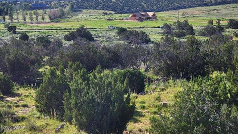Tbd Highway 77, Snowflake, AZ 85937