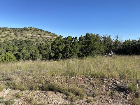 00 N4078, Springerville, AZ 85938 photo 3