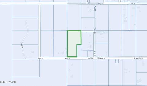 00 N4078, Springerville, AZ 85938 photo 2