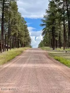 4 Escudilla Rd, Alpine, AZ 85920 photo 30