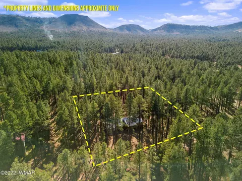 4 Escudilla Rd, Alpine, AZ 85920