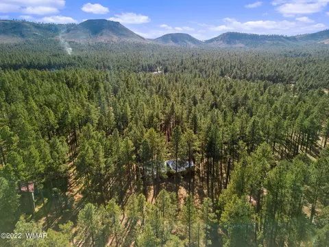 4 Escudilla Rd, Alpine, AZ 85920 photo 26