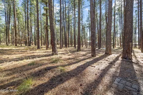 4 Escudilla Rd, Alpine, AZ 85920 photo 23