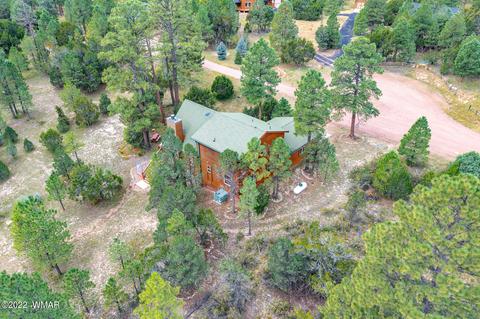2955 Valley Forge Rd, Overgaard, AZ 85933 photo 22