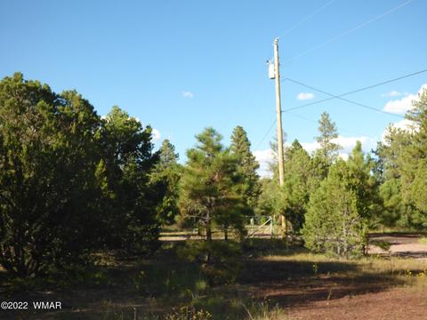 6 County Road N2158, Nutrioso, AZ 85932