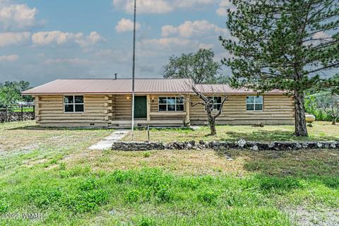 173 W 1st Ave, Eagar, AZ 85925 photo 28