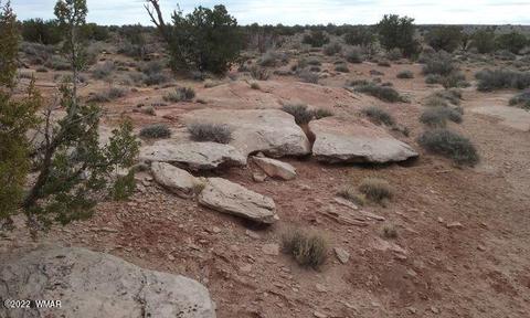 8400 N Terry Trl, Snowflake, AZ 85937