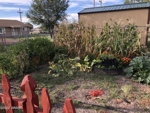 366 N Renee St, Eagar, AZ 85925 photo 8