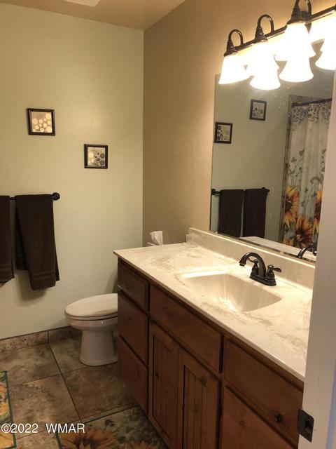 366 N Renee St, Eagar, AZ 85925 photo 19