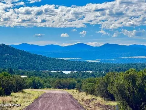 22 Co Rd N3320, Vernon, AZ 85940