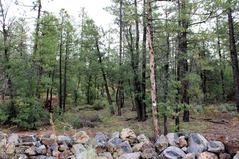 tbd S Pine Wood Ln, Pinetop, AZ 85935