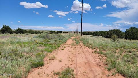 tbd Paper Mill Rd, Snowflake, AZ 85937 photo 3