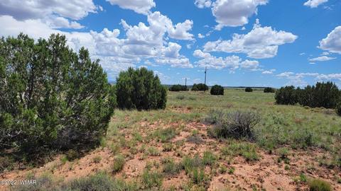 tbd Paper Mill Rd, Snowflake, AZ 85937 photo 4