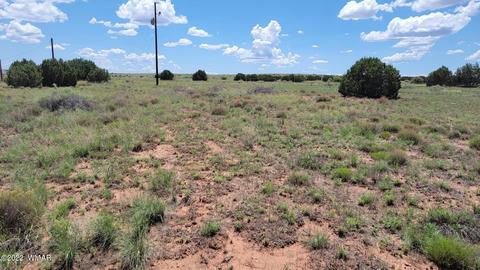 tbd Paper Mill Rd, Snowflake, AZ 85937 photo 6