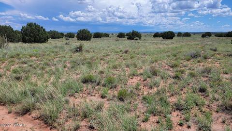 tbd Paper Mill Rd, Snowflake, AZ 85937 photo 2