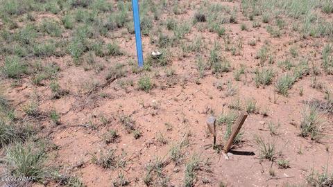 tbd Paper Mill Rd, Snowflake, AZ 85937 photo 8